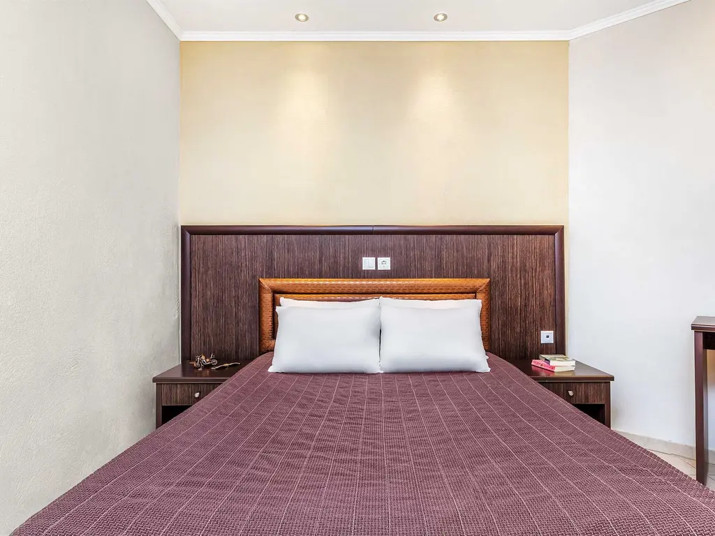 Снимка 18 - Grand Platon Hotel - Олимпийска ривиера, Гърция