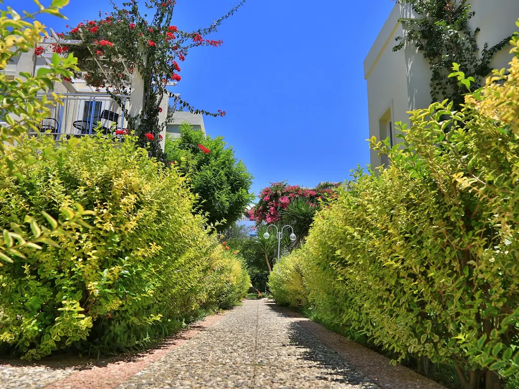 Снимка 3 - Mandarin Resort Bodrum - Бодрум, Турция