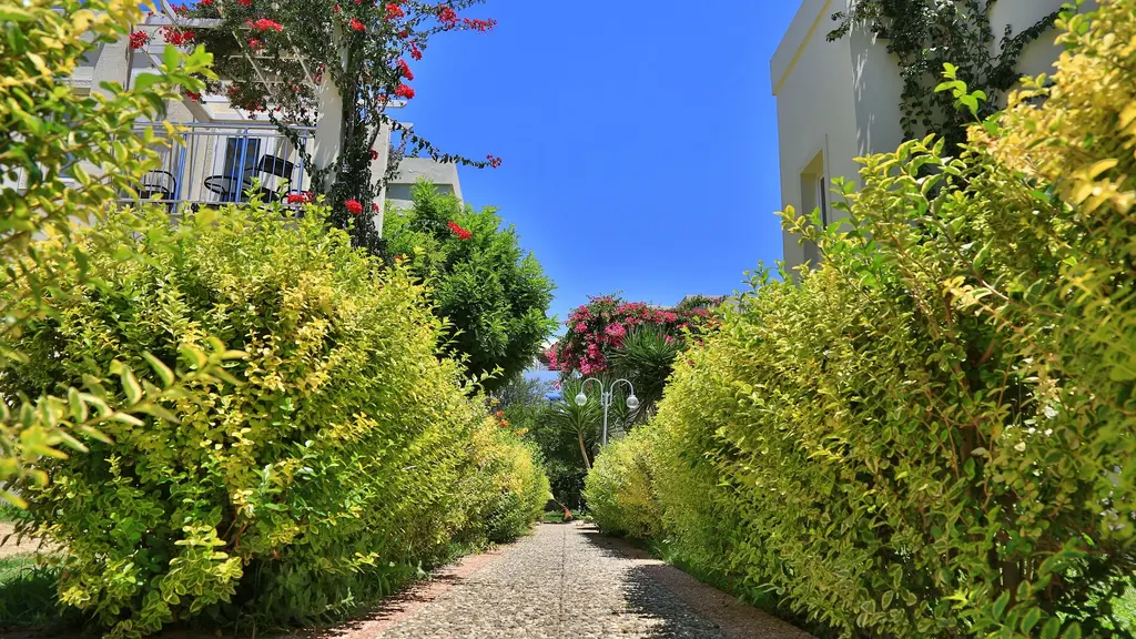 Снимка 3 - Mandarin Resort Bodrum - Бодрум, Турция