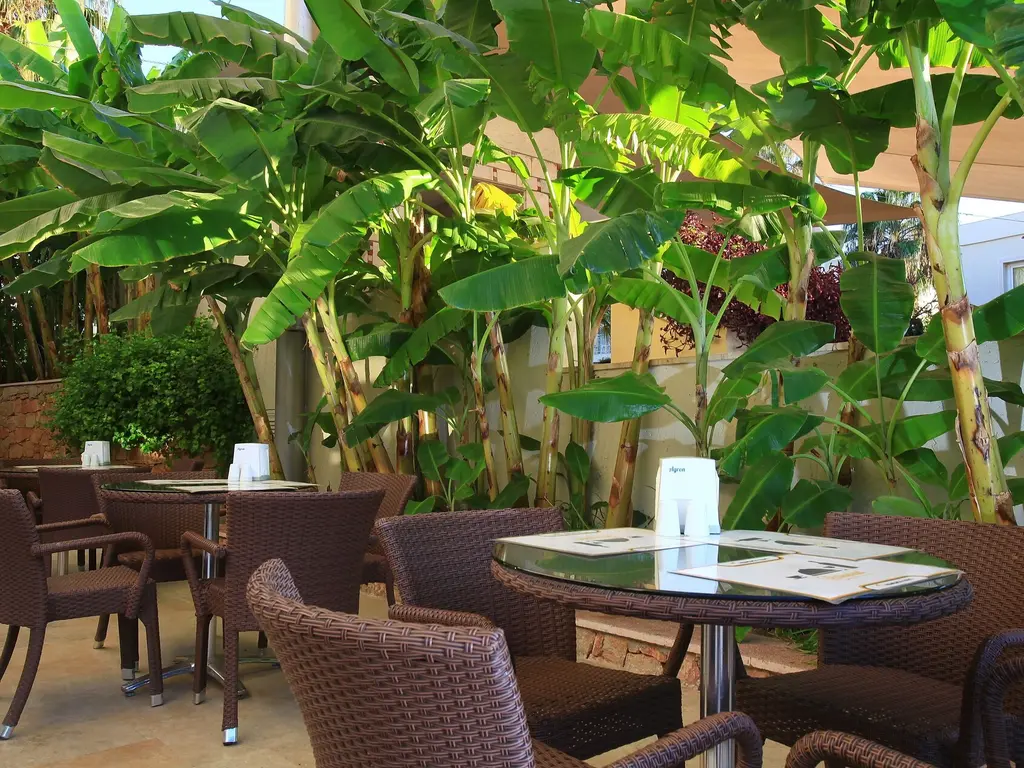 Снимка 30 - Mandarin Resort Bodrum - Бодрум, Турция