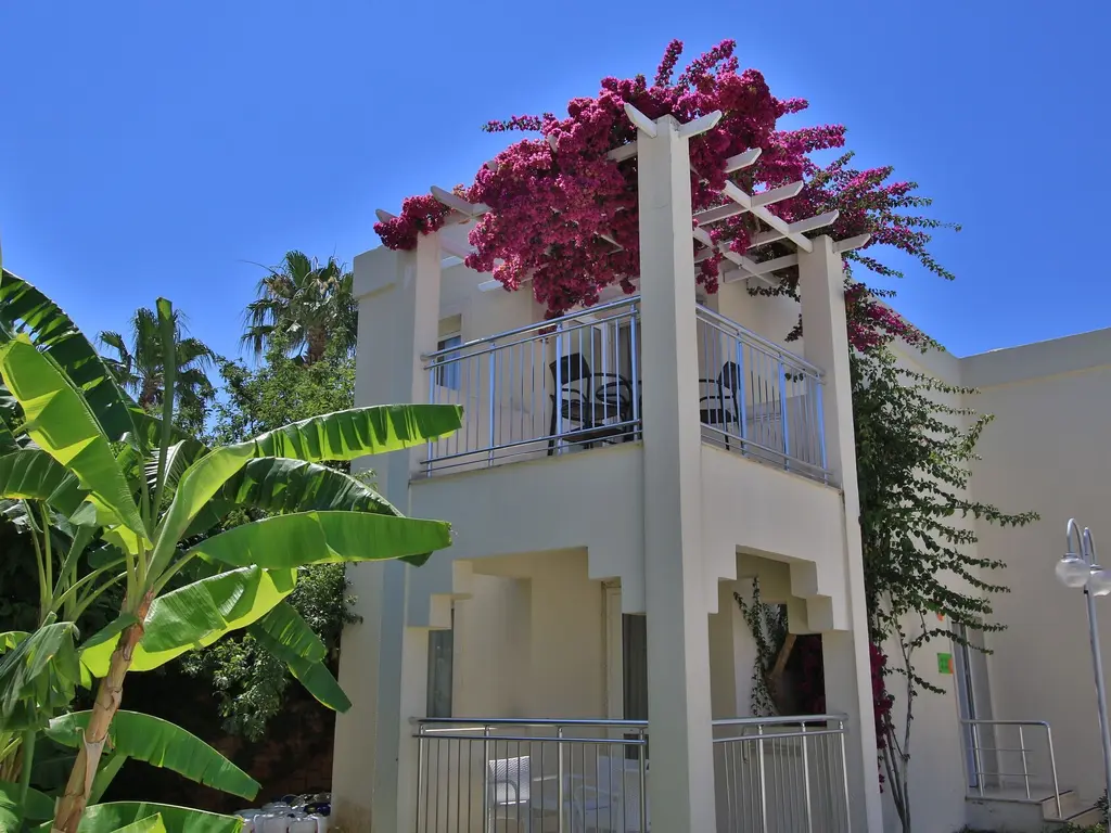 Снимка 6 - Mandarin Resort Bodrum - Бодрум, Турция