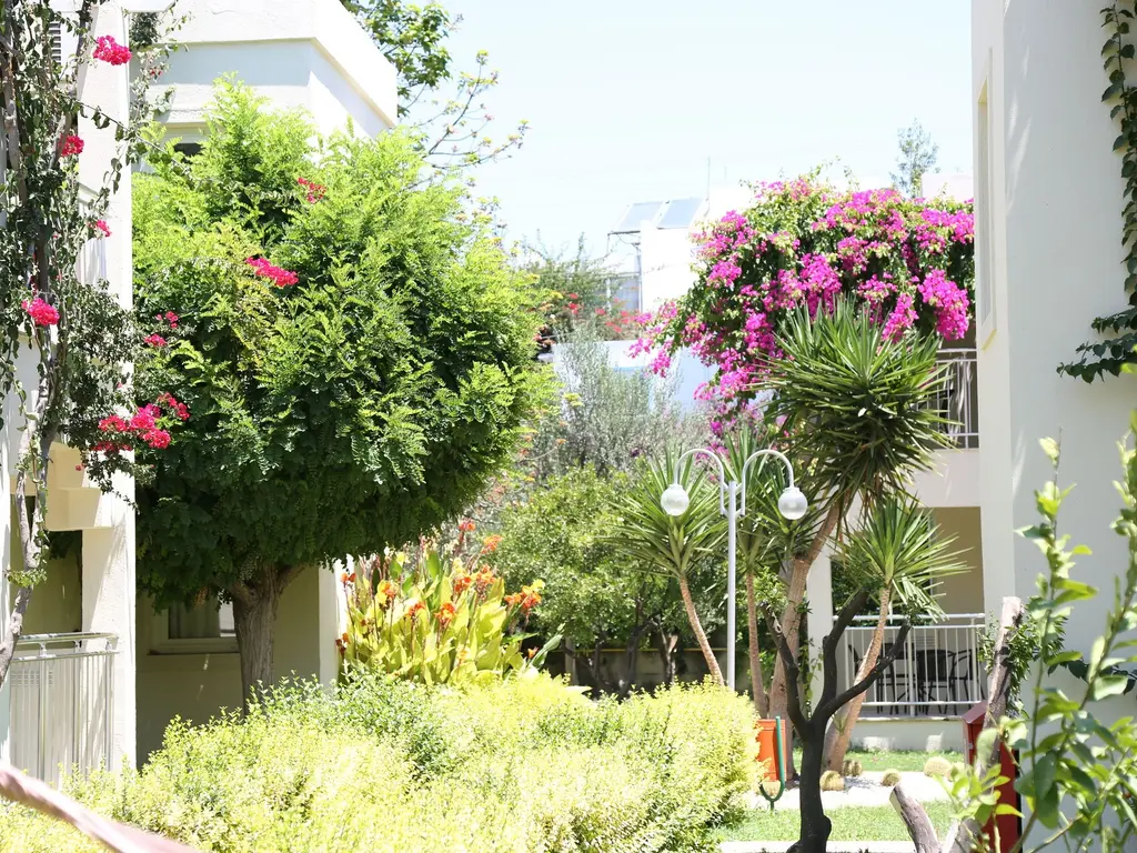 Снимка 11 - Mandarin Resort Bodrum - Бодрум, Турция