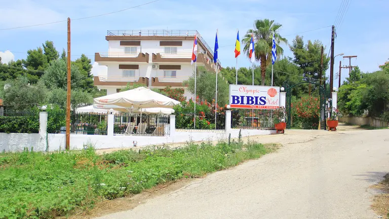 Снимка 3 - Olympic Bibis Hotel - Халкидики-Ситония, Гърция