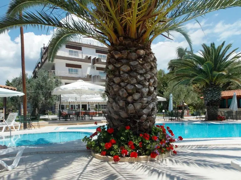 Снимка 19 - Olympic Bibis Hotel - Халкидики-Ситония, Гърция